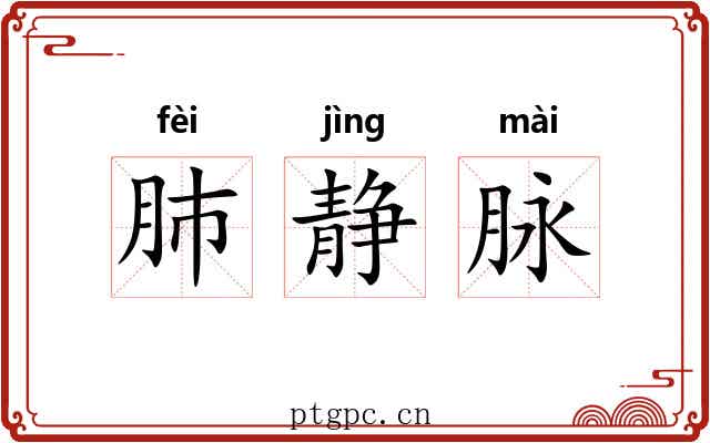 肺静脉