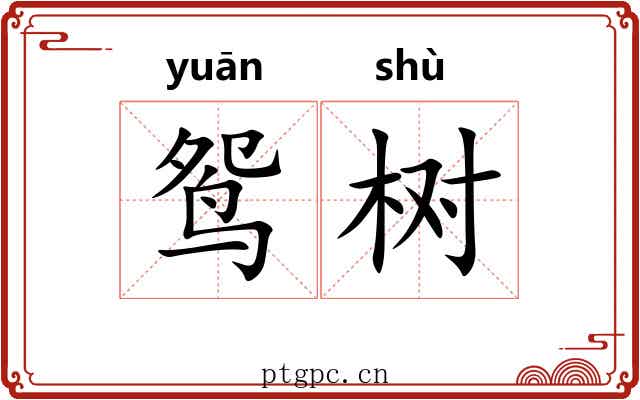 鸳树