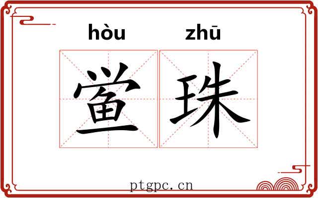 鲎珠 鲎珠
