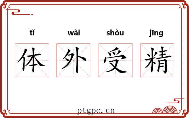 体外受精