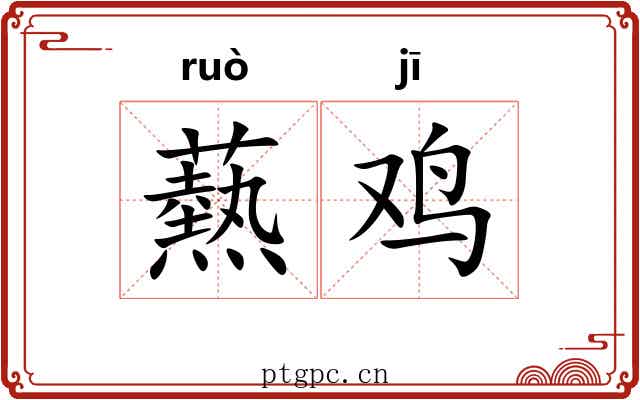 爇鸡 爇鸡