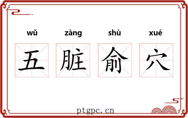 五脏俞穴