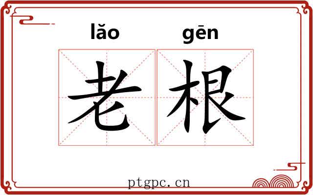 老根