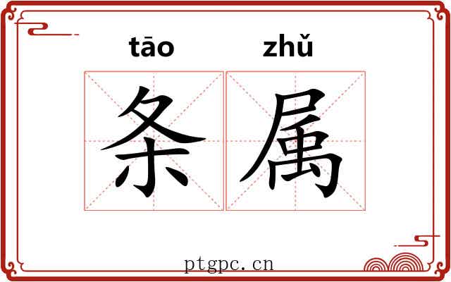 条属