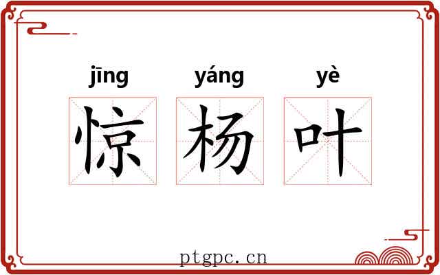 惊杨叶 惊杨叶