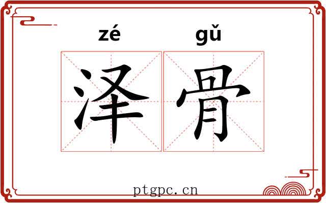 泽骨