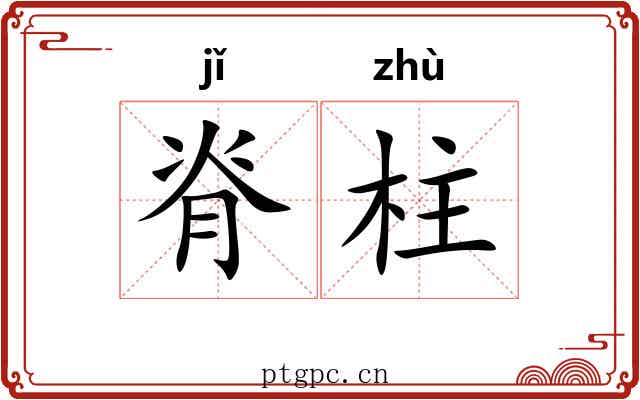 脊柱