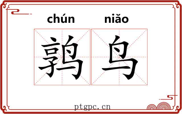 鹑鸟