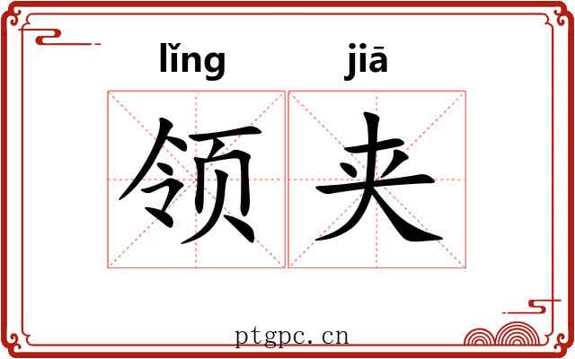 领夹 领夹