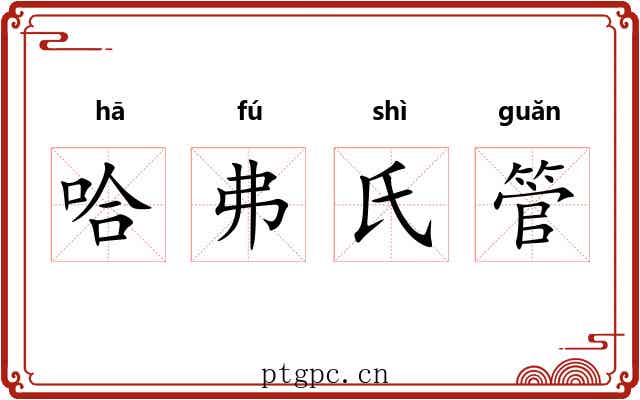 哈弗氏管
