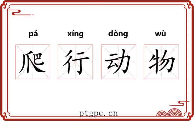 爬行动物