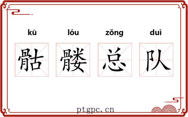 骷髅总队 骷髅总队