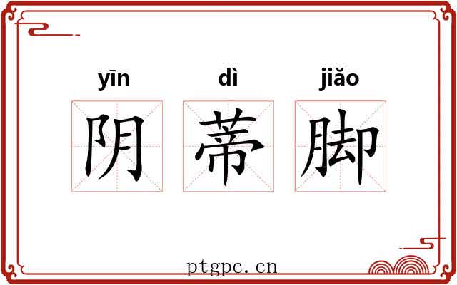 阴蒂脚
