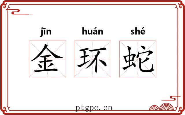 金环蛇