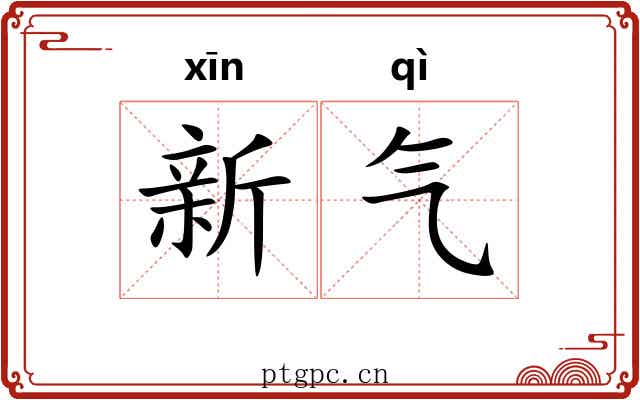 新气