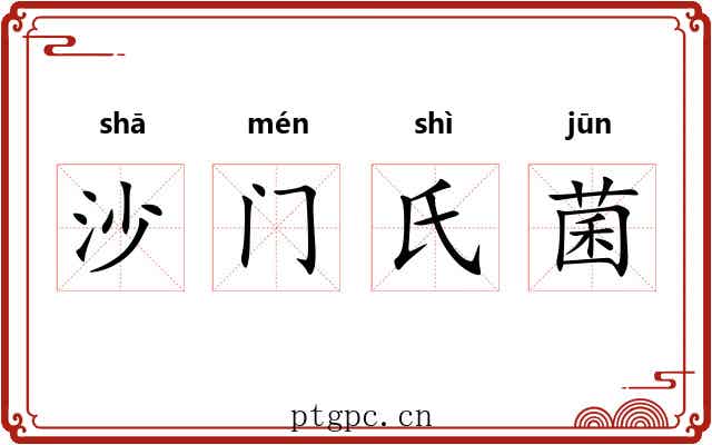 沙门氏菌 沙门氏菌