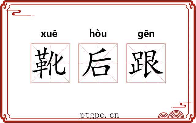 靴后跟