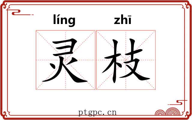 灵枝