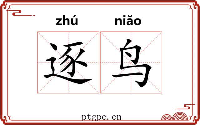 逐鸟