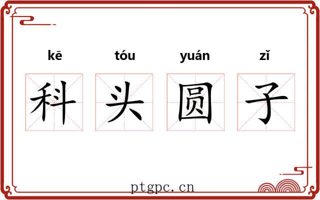 科头圆子
