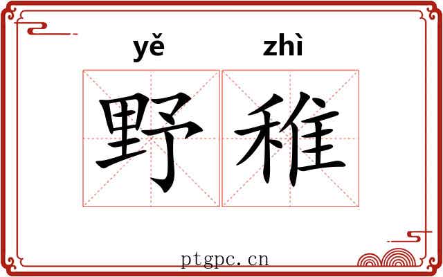 野稚