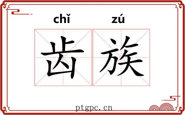 齿族 齿族