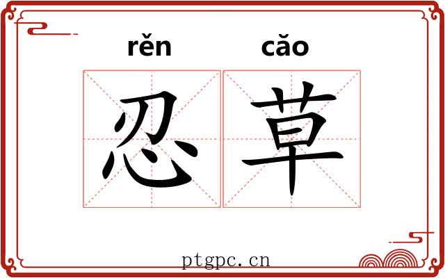 忍草