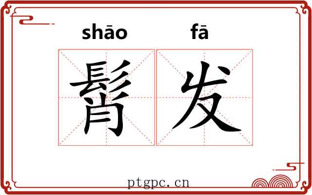 髾发