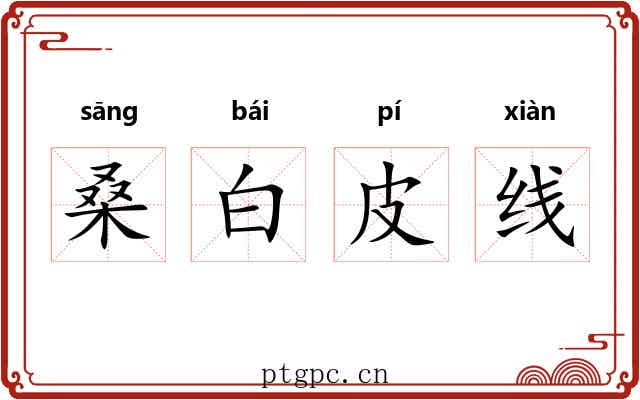 桑白皮线