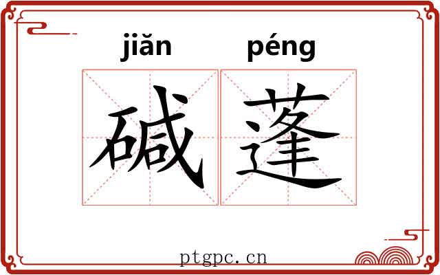 碱蓬 碱蓬