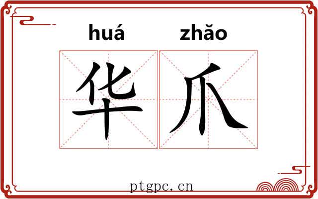 华爪