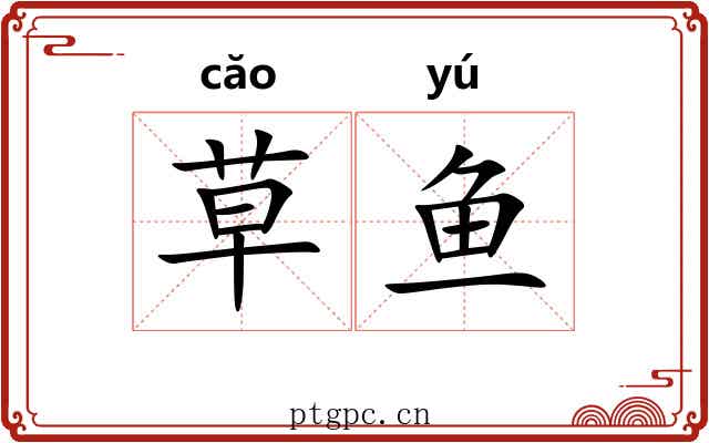 草鱼 草鱼