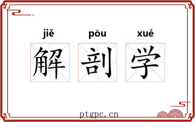 解剖学