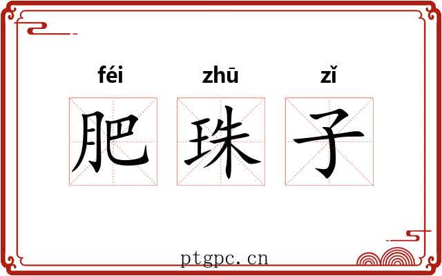 肥珠子 肥珠子