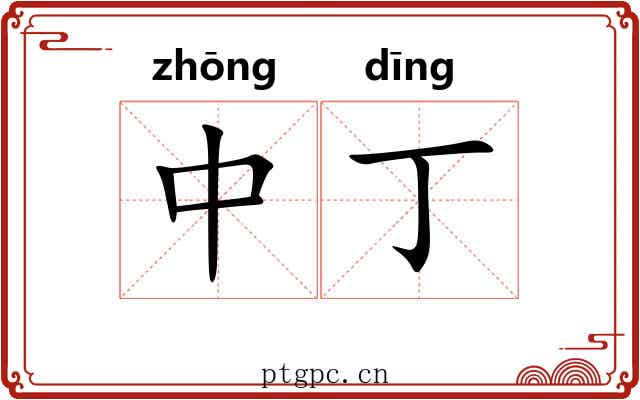 中丁