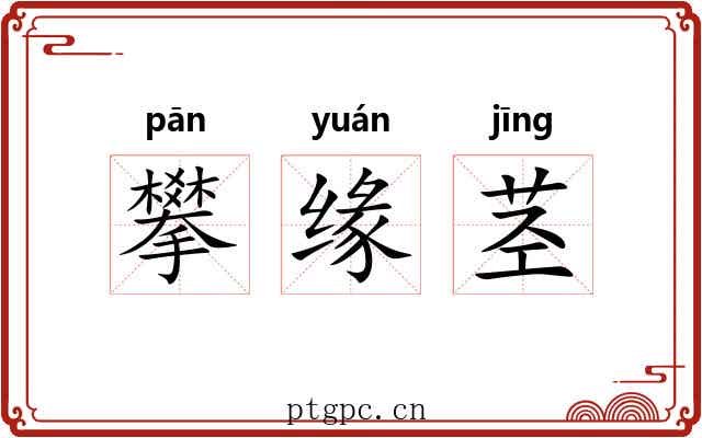 攀缘茎
