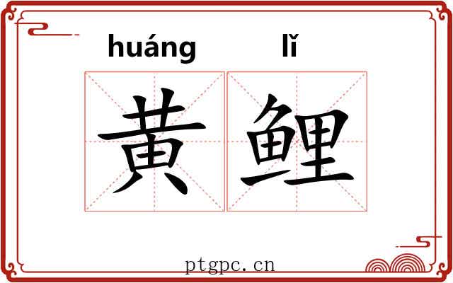 黄鲤