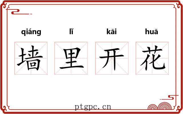 墙里开花