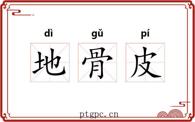 地骨皮