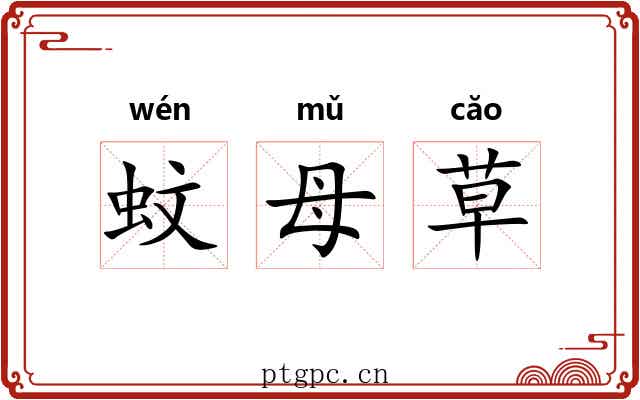 蚊母草 蚊母草