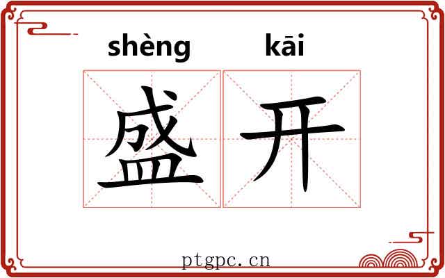 盛开 盛开