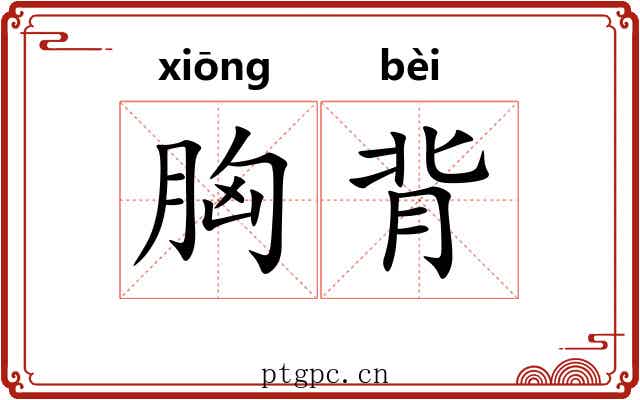 胸背