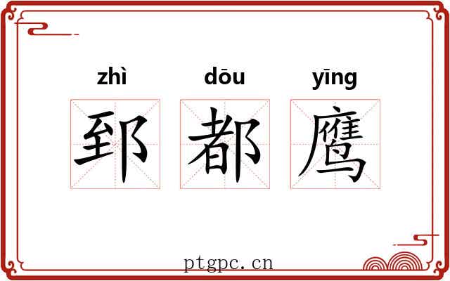 郅都鹰 郅都鹰