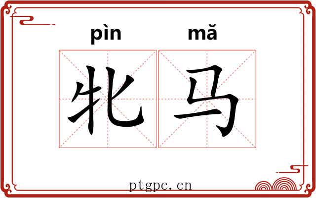 牝马