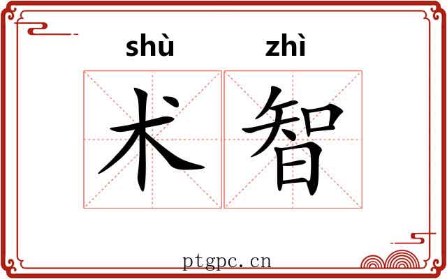 术智 术智