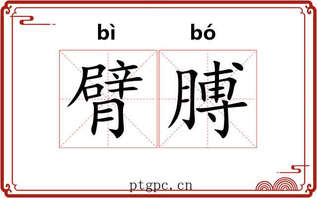 臂膊