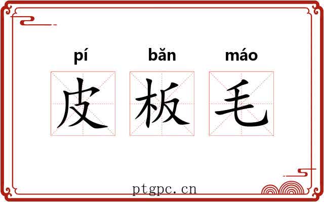 皮板毛 皮板毛