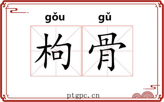 枸骨 枸骨