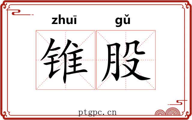 锥股 锥股