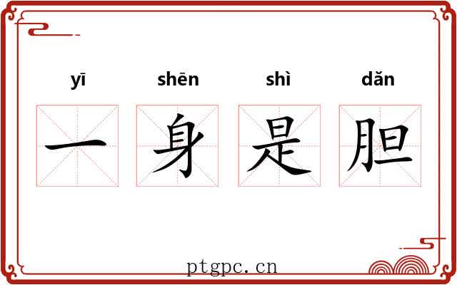 一身是胆 一身是胆